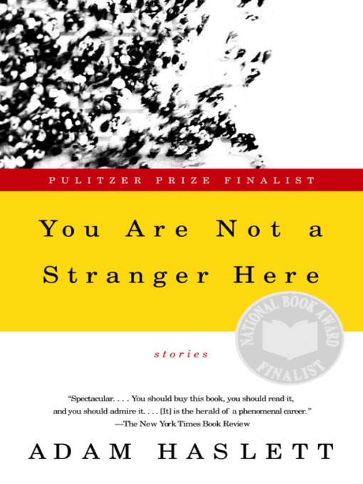 Title details for You Are Not a Stranger Here by Adam Haslett - Available